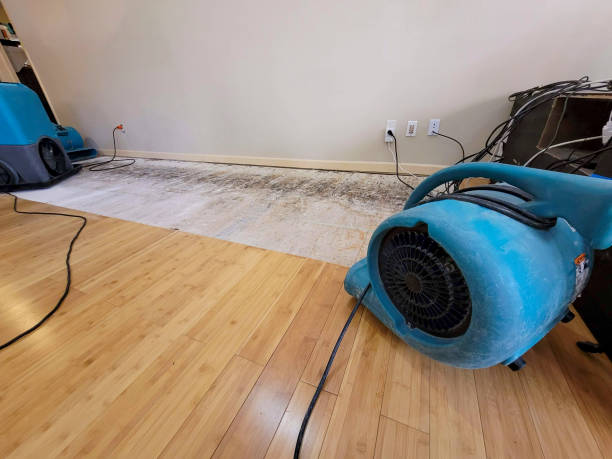 Professional Water Removal technician working in Carthage, MS